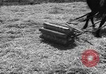 Image of Ukraine civilians Ukraine, 1943, second 27 stock footage video 65675045868