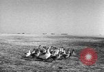 Image of Ukraine civilians Ukraine, 1943, second 1 stock footage video 65675045869