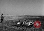 Image of Ukraine civilians Ukraine, 1943, second 3 stock footage video 65675045869