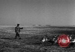 Image of Ukraine civilians Ukraine, 1943, second 4 stock footage video 65675045869