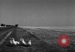 Image of Ukraine civilians Ukraine, 1943, second 10 stock footage video 65675045869