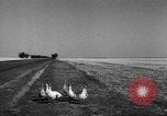 Image of Ukraine civilians Ukraine, 1943, second 11 stock footage video 65675045869