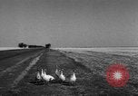 Image of Ukraine civilians Ukraine, 1943, second 12 stock footage video 65675045869