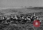 Image of Ukraine civilians Ukraine, 1943, second 14 stock footage video 65675045869