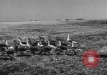 Image of Ukraine civilians Ukraine, 1943, second 16 stock footage video 65675045869