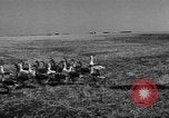 Image of Ukraine civilians Ukraine, 1943, second 17 stock footage video 65675045869