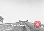 Image of Ukraine civilians Ukraine, 1943, second 24 stock footage video 65675045869