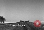 Image of Ukraine civilians Ukraine, 1943, second 25 stock footage video 65675045869