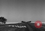 Image of Ukraine civilians Ukraine, 1943, second 26 stock footage video 65675045869