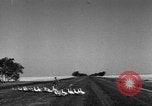Image of Ukraine civilians Ukraine, 1943, second 27 stock footage video 65675045869