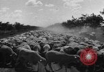 Image of Ukraine civilians Ukraine, 1943, second 35 stock footage video 65675045869