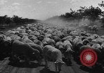 Image of Ukraine civilians Ukraine, 1943, second 37 stock footage video 65675045869