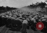 Image of Ukraine civilians Ukraine, 1943, second 38 stock footage video 65675045869