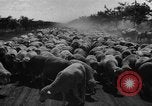 Image of Ukraine civilians Ukraine, 1943, second 39 stock footage video 65675045869