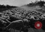 Image of Ukraine civilians Ukraine, 1943, second 40 stock footage video 65675045869
