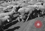 Image of Ukraine civilians Ukraine, 1943, second 48 stock footage video 65675045869