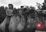 Image of Ukraine civilians Ukraine, 1943, second 50 stock footage video 65675045869