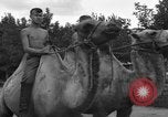 Image of Ukraine civilians Ukraine, 1943, second 51 stock footage video 65675045869