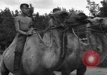 Image of Ukraine civilians Ukraine, 1943, second 52 stock footage video 65675045869