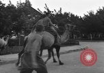 Image of Ukraine civilians Ukraine, 1943, second 54 stock footage video 65675045869