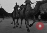 Image of Ukraine civilians Ukraine, 1943, second 61 stock footage video 65675045869