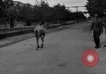 Image of Ukraine civilians Ukraine, 1943, second 62 stock footage video 65675045869