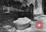 Image of Ukraine civilians Ukraine, 1943, second 1 stock footage video 65675045870