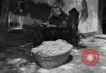 Image of Ukraine civilians Ukraine, 1943, second 3 stock footage video 65675045870