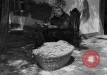 Image of Ukraine civilians Ukraine, 1943, second 4 stock footage video 65675045870