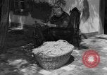 Image of Ukraine civilians Ukraine, 1943, second 5 stock footage video 65675045870