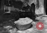 Image of Ukraine civilians Ukraine, 1943, second 6 stock footage video 65675045870