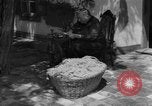 Image of Ukraine civilians Ukraine, 1943, second 7 stock footage video 65675045870