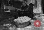 Image of Ukraine civilians Ukraine, 1943, second 8 stock footage video 65675045870