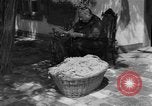 Image of Ukraine civilians Ukraine, 1943, second 10 stock footage video 65675045870
