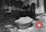 Image of Ukraine civilians Ukraine, 1943, second 11 stock footage video 65675045870
