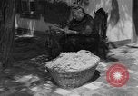 Image of Ukraine civilians Ukraine, 1943, second 12 stock footage video 65675045870