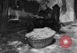 Image of Ukraine civilians Ukraine, 1943, second 13 stock footage video 65675045870