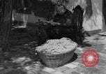Image of Ukraine civilians Ukraine, 1943, second 14 stock footage video 65675045870
