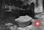Image of Ukraine civilians Ukraine, 1943, second 15 stock footage video 65675045870
