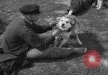 Image of Ukraine civilians Ukraine, 1943, second 17 stock footage video 65675045870
