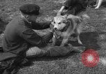 Image of Ukraine civilians Ukraine, 1943, second 18 stock footage video 65675045870