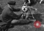 Image of Ukraine civilians Ukraine, 1943, second 19 stock footage video 65675045870
