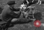 Image of Ukraine civilians Ukraine, 1943, second 20 stock footage video 65675045870