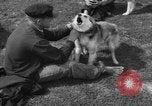 Image of Ukraine civilians Ukraine, 1943, second 21 stock footage video 65675045870
