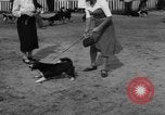 Image of Ukraine civilians Ukraine, 1943, second 22 stock footage video 65675045870