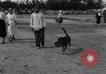 Image of Ukraine civilians Ukraine, 1943, second 40 stock footage video 65675045870