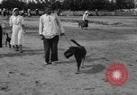 Image of Ukraine civilians Ukraine, 1943, second 41 stock footage video 65675045870
