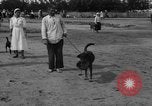 Image of Ukraine civilians Ukraine, 1943, second 42 stock footage video 65675045870