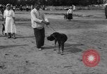 Image of Ukraine civilians Ukraine, 1943, second 43 stock footage video 65675045870