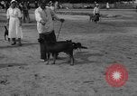 Image of Ukraine civilians Ukraine, 1943, second 45 stock footage video 65675045870